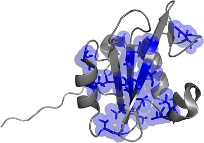 Demonstration of Binding Induced Structural Plasticity in a SH2 Domain